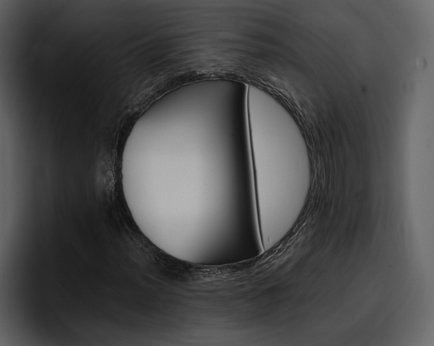 X0000097481012200802220816