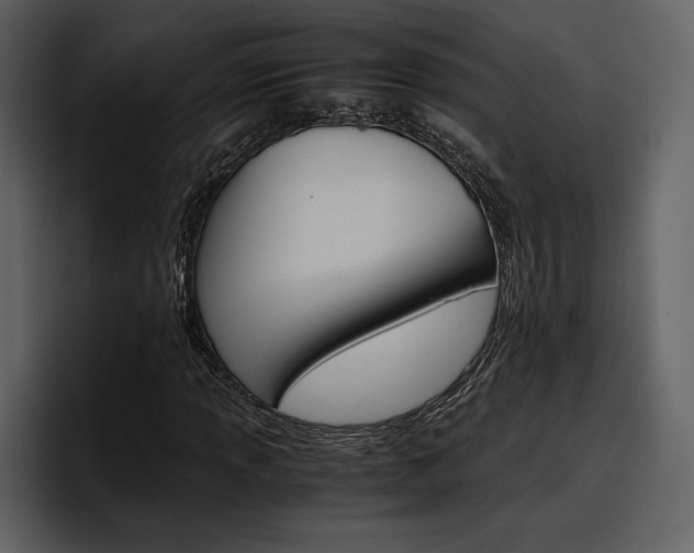 X0000097481013200802220816
