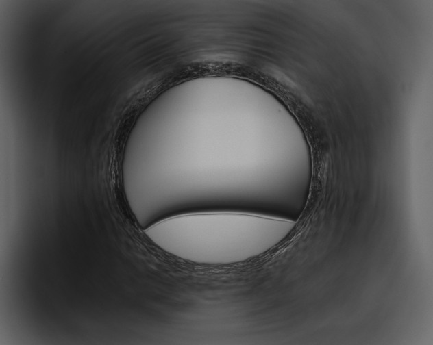 X0000097481014200802220816