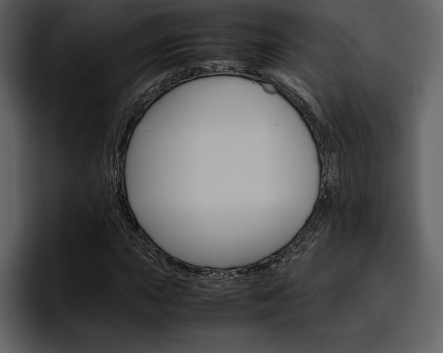 X0000097481015200802220816