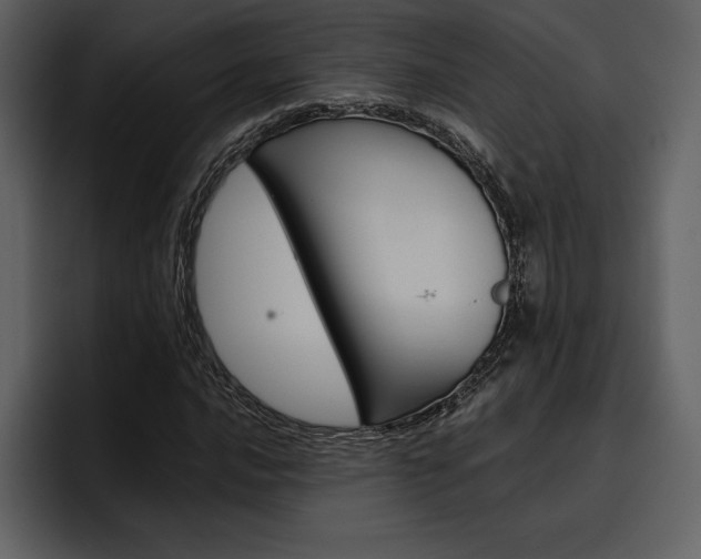 X0000097481016200802220816