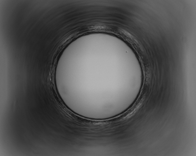 X0000097481017200802220816
