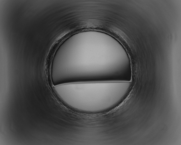X0000097481018200802220816