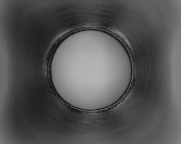X0000097481019200802220816
