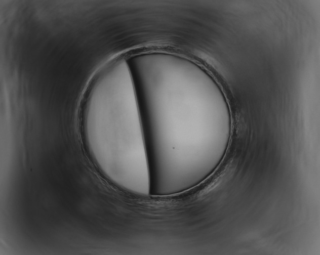 X0000097481021200802220816