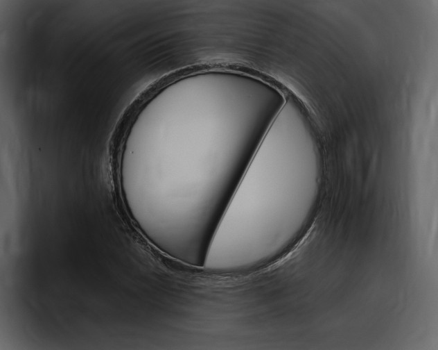 X0000097481022200802220816
