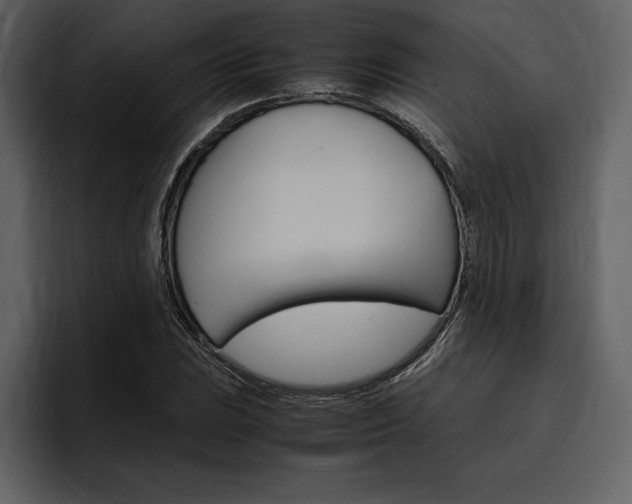 X0000097481023200802220816