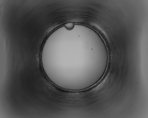 X0000097481025200802220816