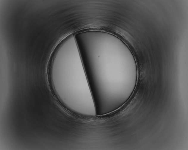 X0000097481026200802220816