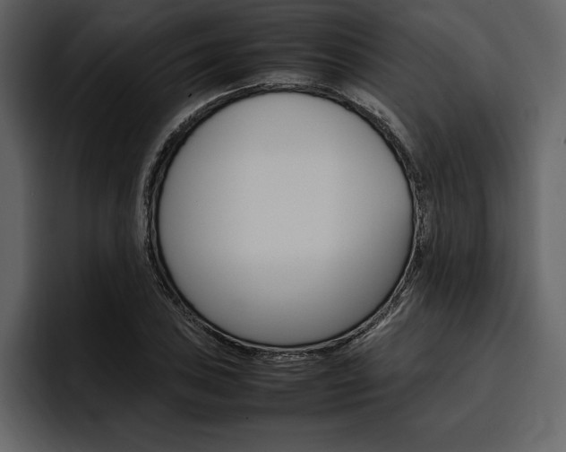 X0000097481027200802220816