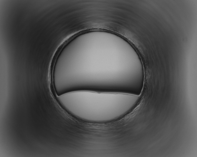 X0000097481028200802220816
