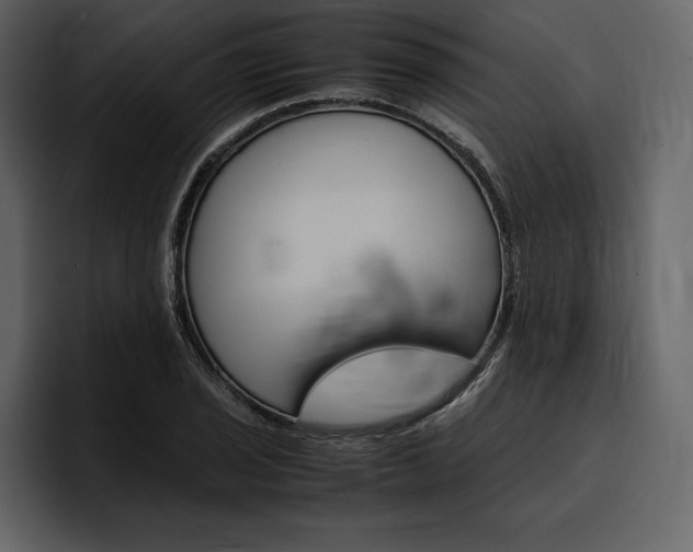 X0000097481029200802220816
