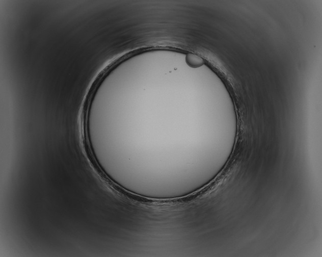 X0000097481032200802220816