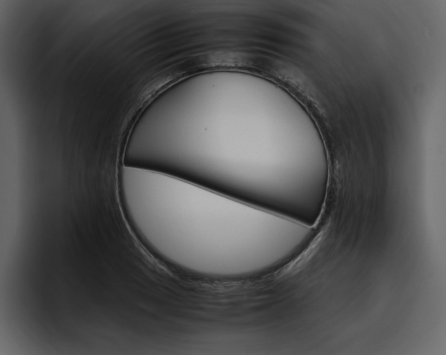 X0000097481033200802220816