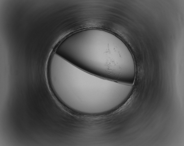 X0000097481034200802220816