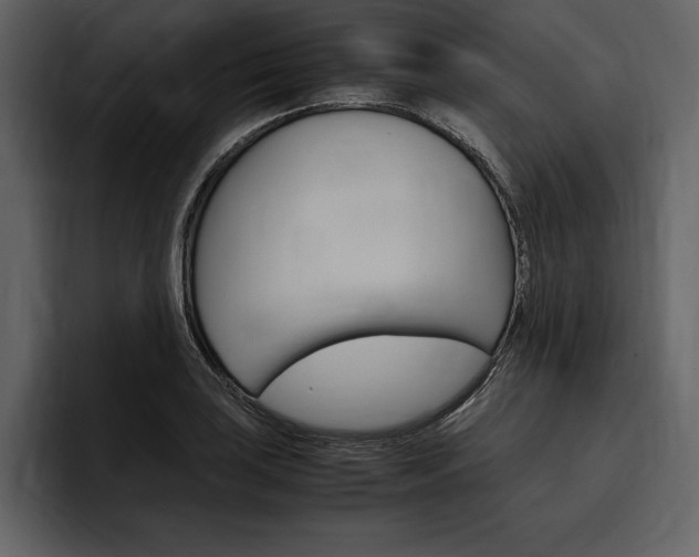 X0000097481035200802220816