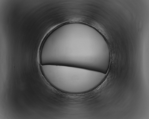 X0000097481036200802220816