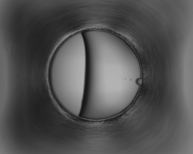 X0000097481038200802220816