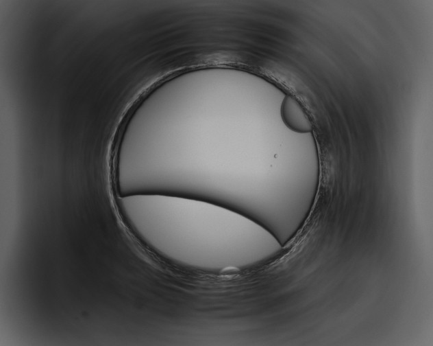 X0000097481039200802220816