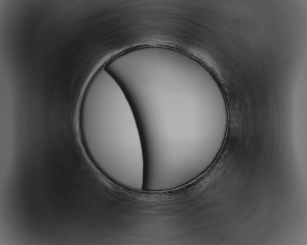 X0000097481040200802220816