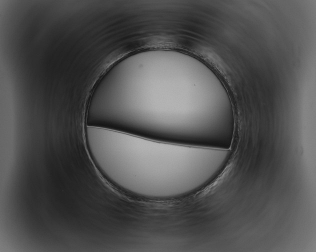 X0000097481041200802220816