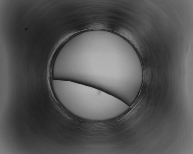 X0000097481043200802220816