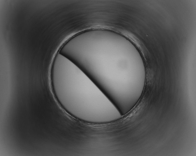 X0000097481048200802220817