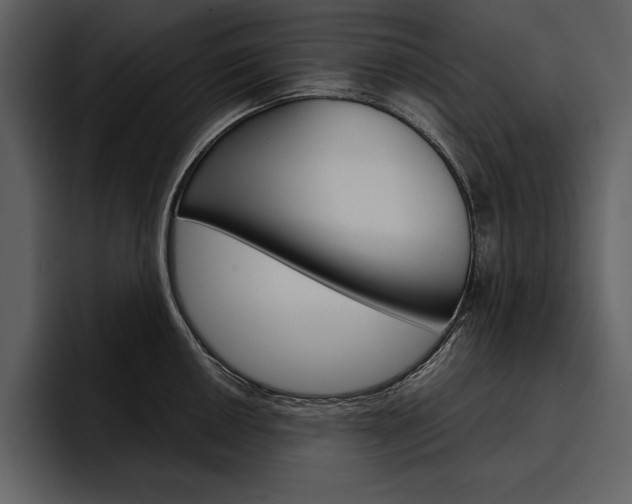 X0000097481050200802220817