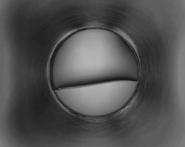 X0000097481053200802220817