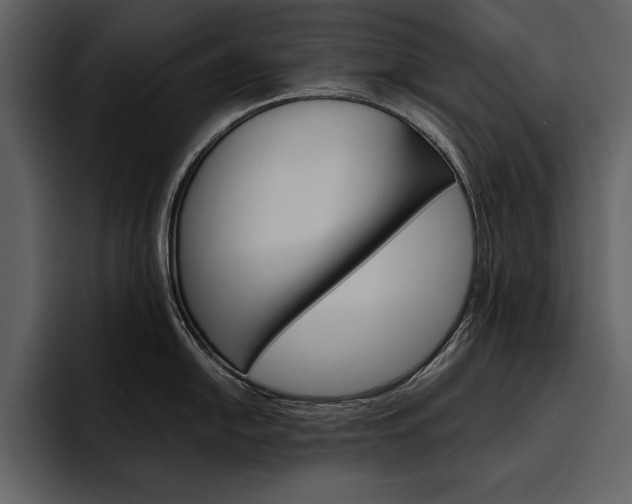 X0000097481054200802220817