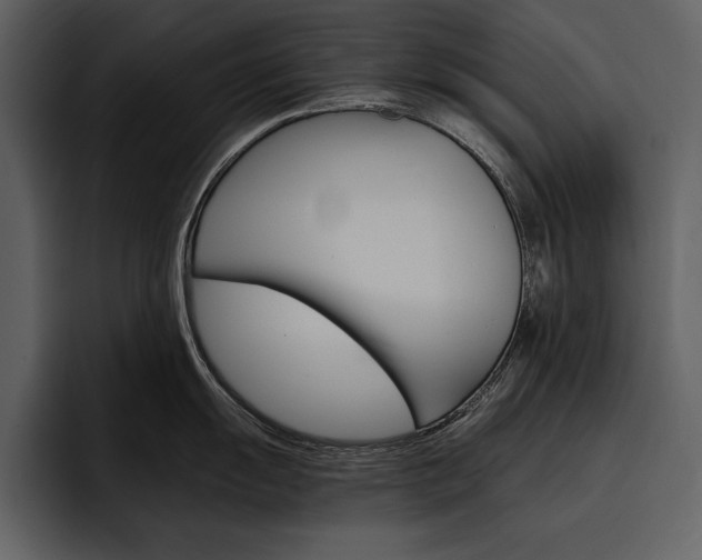 X0000097481055200802220817