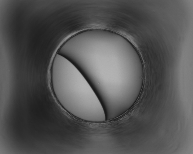 X0000097481056200802220817