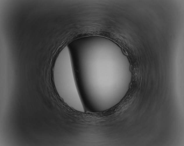 X0000097481057200802220816