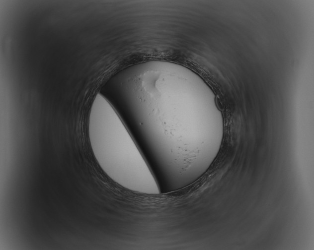 X0000097481058200802220816