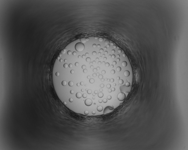 X0000097481059200802220816