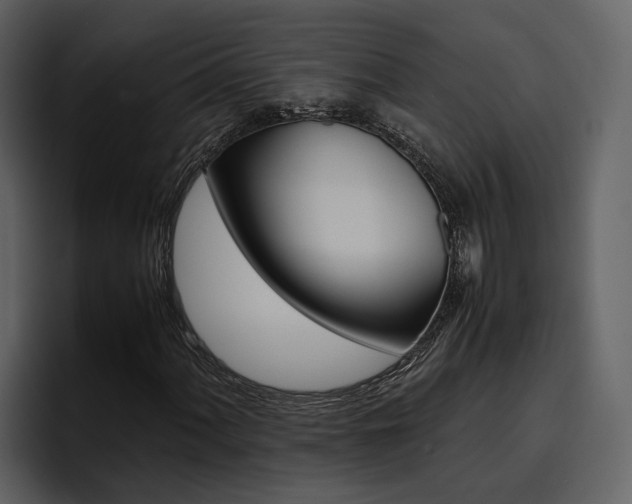 X0000097481060200802220816