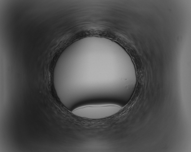 X0000097481061200802220816