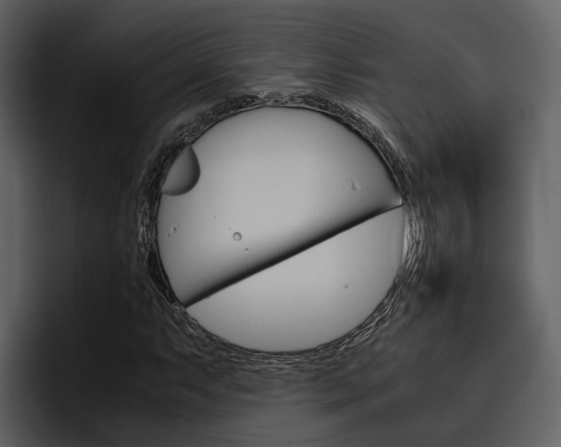 X0000097481063200802220816