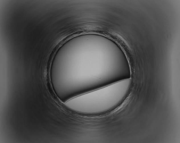 X0000097481065200802220816