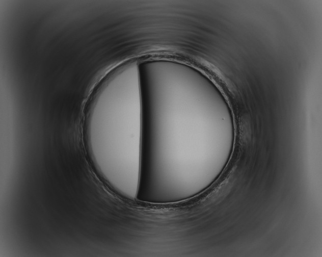 X0000097481066200802220816