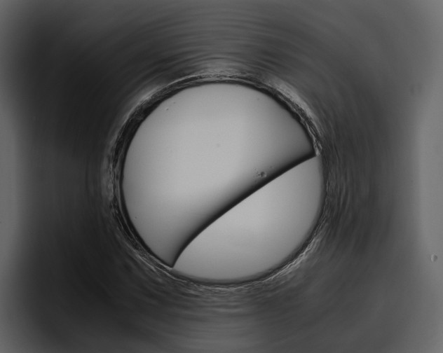 X0000097481067200802220816
