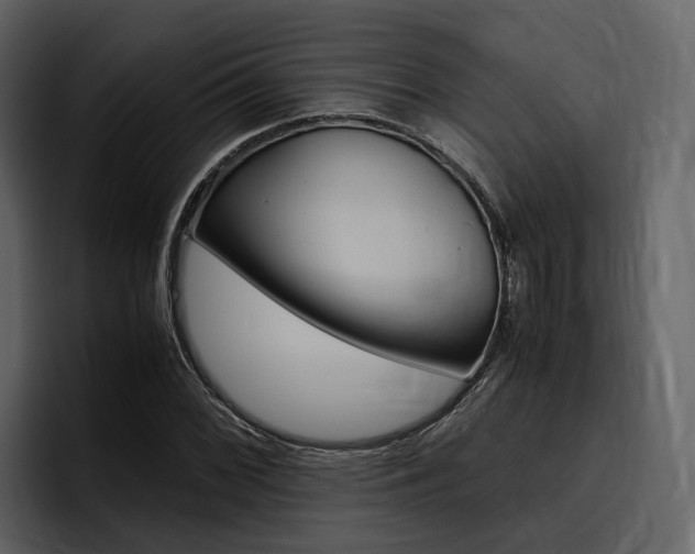 X0000097481068200802220816