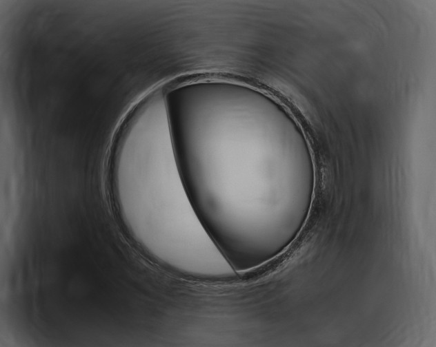 X0000097481069200802220816