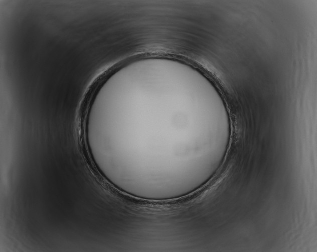 X0000097481070200802220816