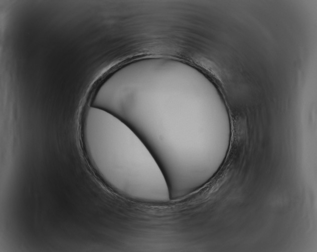 X0000097481071200802220816