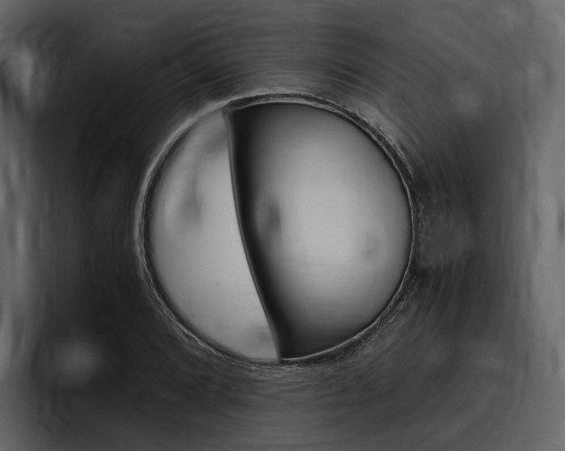 X0000097481072200802220816