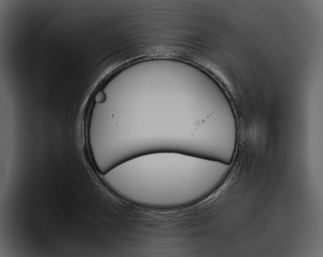 X0000097481075200802220816