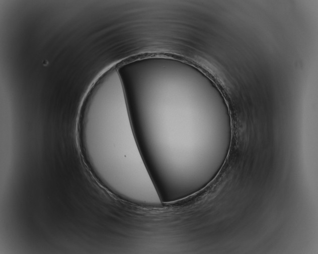 X0000097481076200802220816