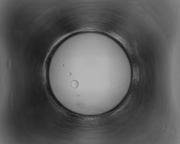 X0000097481078200802220816