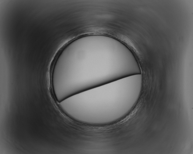 X0000097481079200802220816